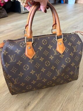 Louis Vuitton Brown Monogram Canvas Speedy 25 Handbag